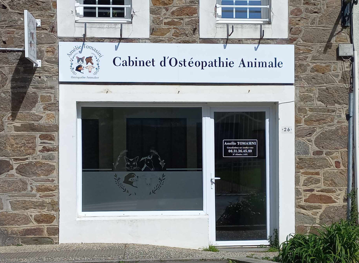 Osteopathe pour animaux