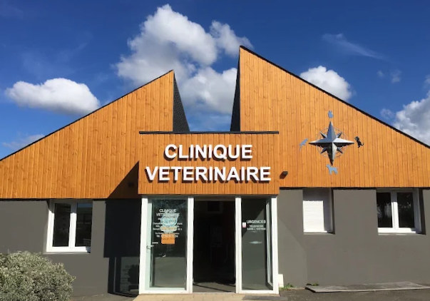 Osteopathe pour animaux