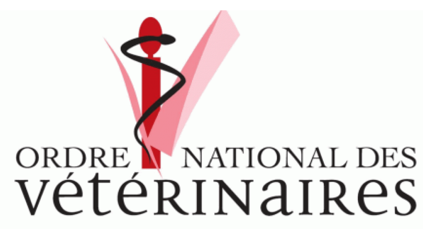 Osteopathe pour animaux